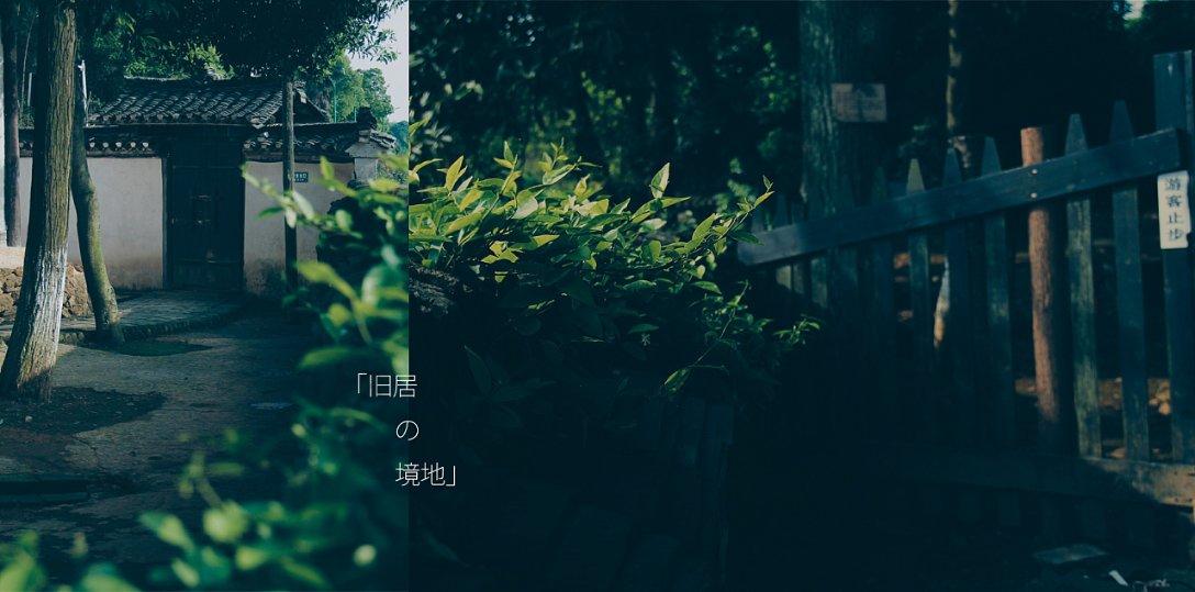 救援小老鼠