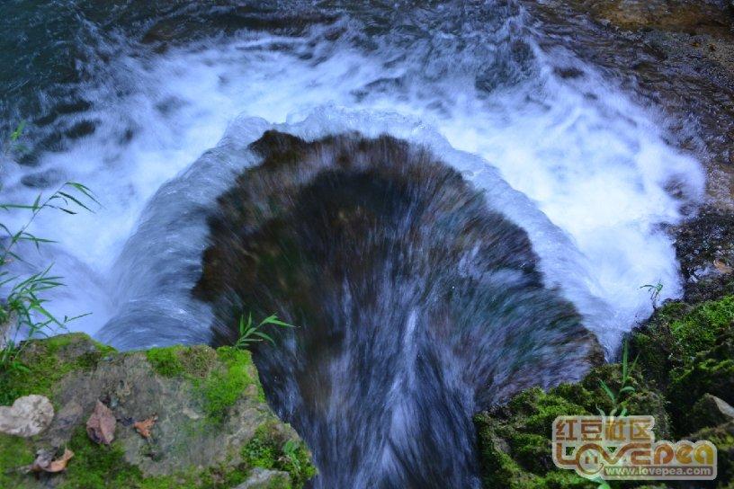 迷雾求生