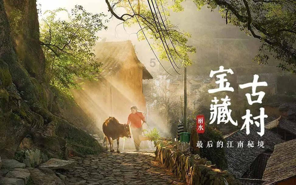 救援鹦鹉