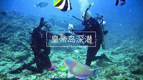 疯狂猜动漫2
