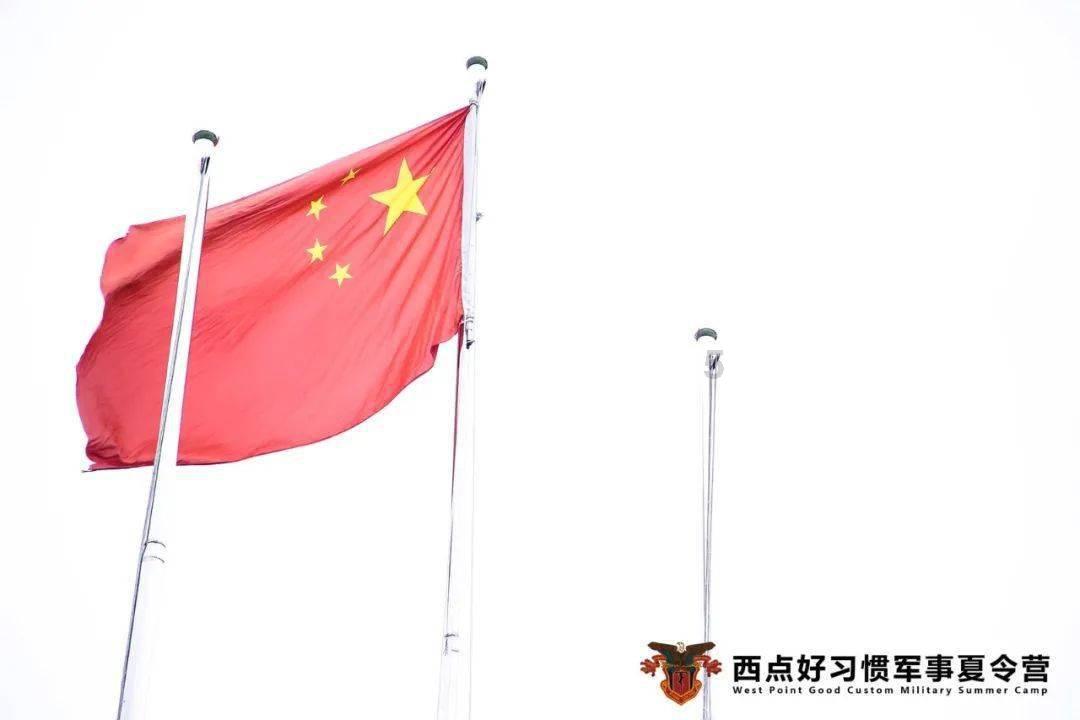 小猫钓鱼正版下载中文版