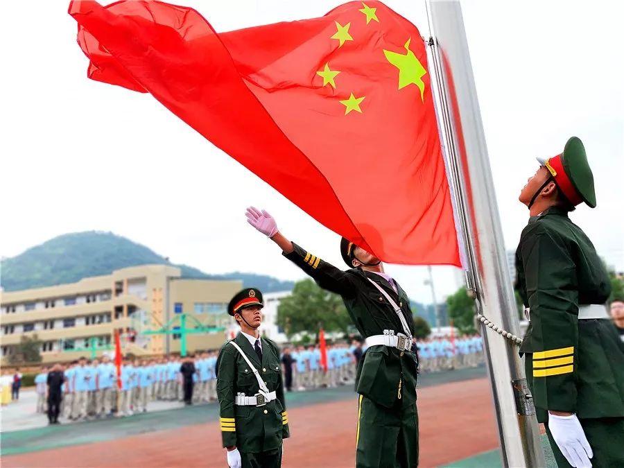 救援大嘴鸟