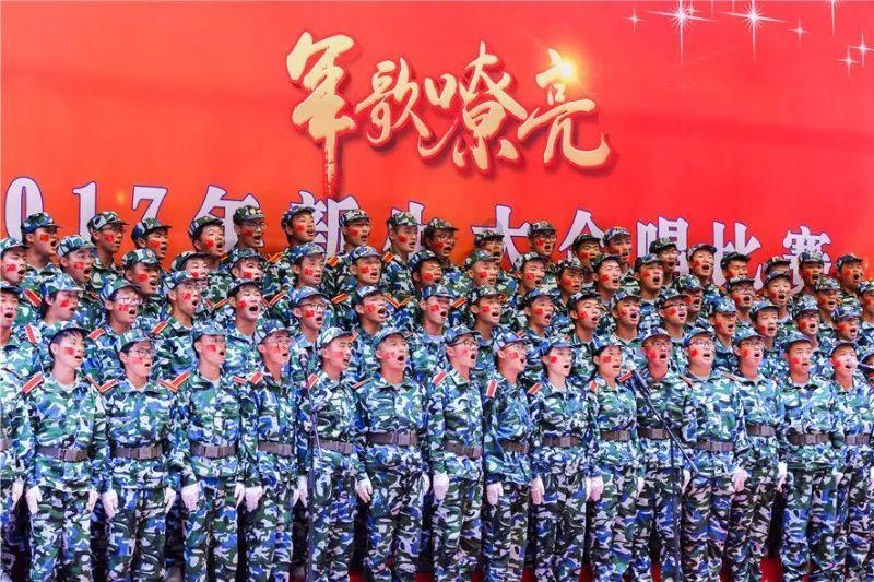 泡沫森林