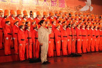 森系丛林