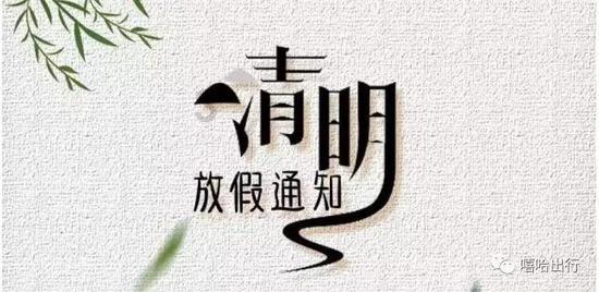 植物大战僵尸18