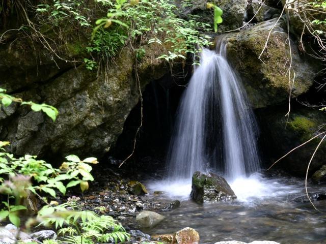蝙蝠侠：阿甘之城