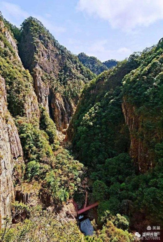 燃烧吧大脑免广告最新版