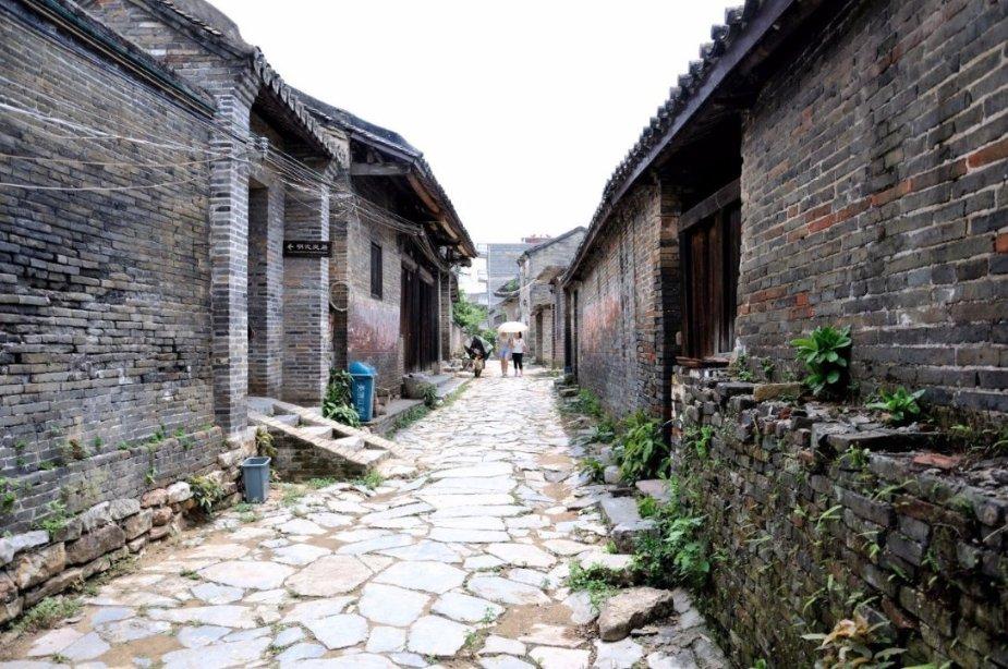 向影心:拿着丈夫当跳板,9年生8娃,因感冒被丈夫关进精神病医院
